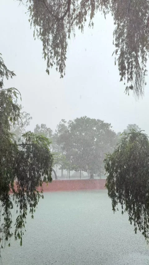 Heavy Rainfall Over Lake, Monsoon Weather, Trees and Water, Stormy Nature L.. Video stock 336919592