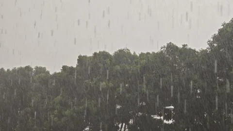 Heavy Rainfall Stock Photos