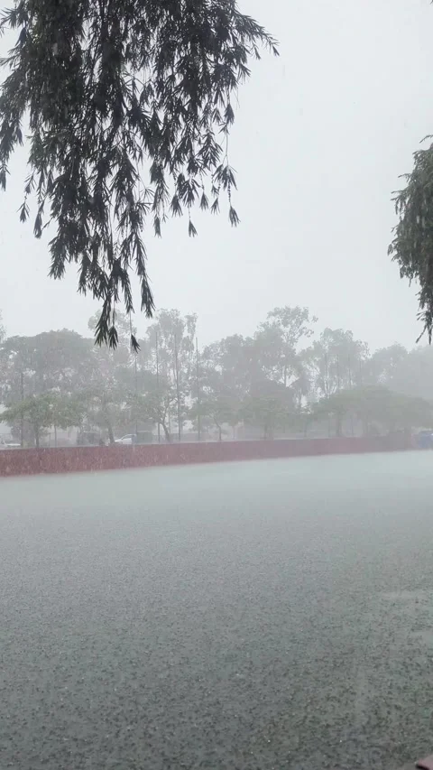 Heavy Rainfall, Rainy Day Landscape, Monsoon Weather, Stormy Nature Backgro.. Video stock 336919597