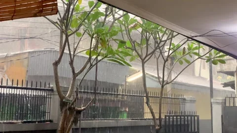 Heavy rainfall with strong wind blowing through trees. Stock Footage 320506293