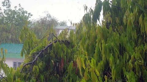 Heavy raining Stock Footage 274524702