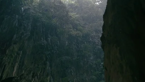 Heavy raining outside a cave in the rainforest Video stock 82176646
