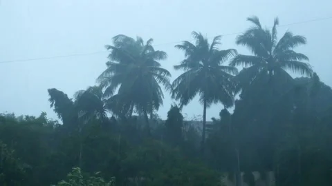 HEAVY RAINS AND WINDS LASH MUMBAI Stock Footage 136668667