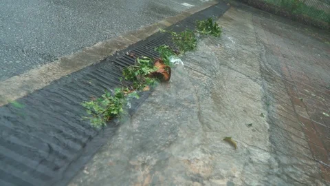 Heavy rains Stock Footage 125032156