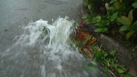 Heavy rains Stock Footage 125032162