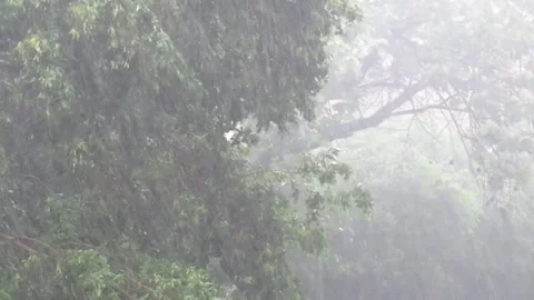 Heavy rains 스톡 동영상 154328097