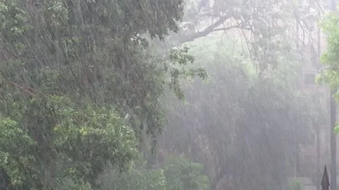 Heavy rains Stock Footage 154408090