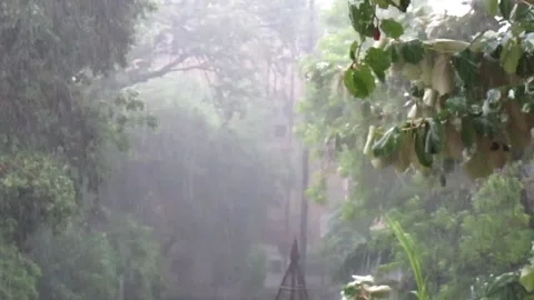 Heavy rains Stock Footage 154408283