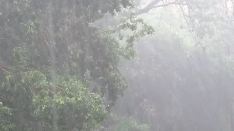 Heavy rains 動画素材 154408337