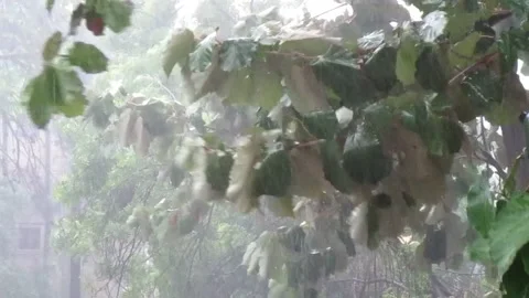 Heavy rains Video stock 154410066