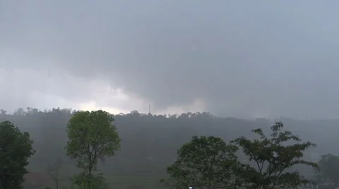 Heavy rains in an open hilly forest 스톡 동영상 38032665