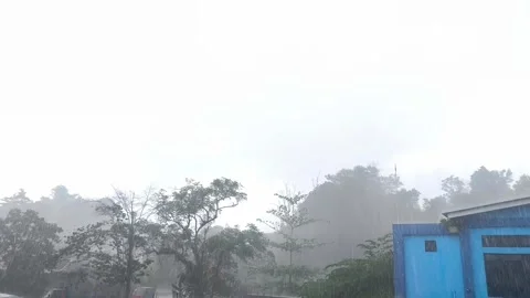 Heavy rains pours down during the day Stock Footage 337526969