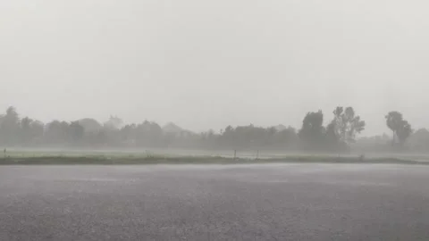 Heavy Rainstorm Downpour on Lake Surface with Water Mist, Tropical Storm Stock Footage 345360885