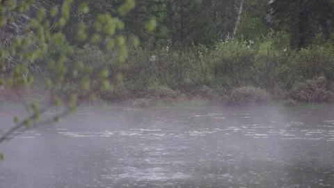 Heavy rainstorm over pond with mist rising - 8K 4320p Stock Footage 310067442