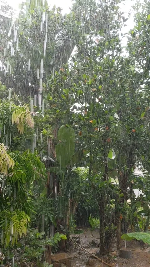 Heavy rainy environment causes water to stagnate Stock Footage 321751277