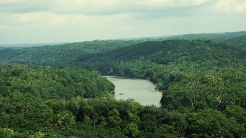 Heavy river flowing through dense forest 動画素材 92899284