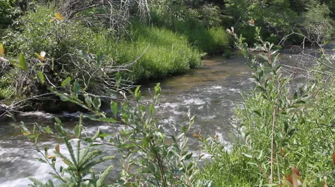 Heavy runoff for creek Stock Footage 40342368