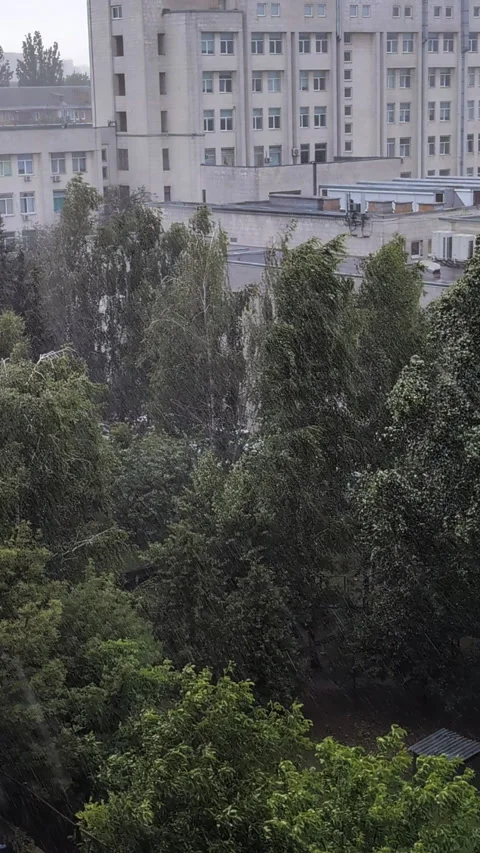 Heavy Slanting Rainstorm with Strong Wind Through Window Vertical Video.. Video stock 314062041