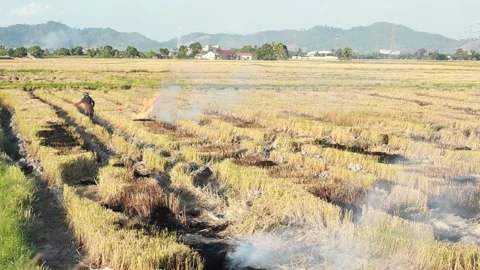 Heavy Smoke Vídeos de archivo 169547833