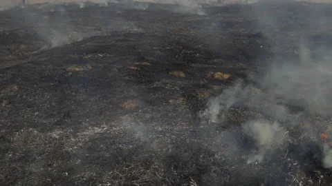 Heavy smoke from a forest fire. Scorched earth after shelling. Stock Footage 175678941