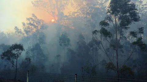 Heavy smoke  of wildfire, Australia. Stock Footage 248617837