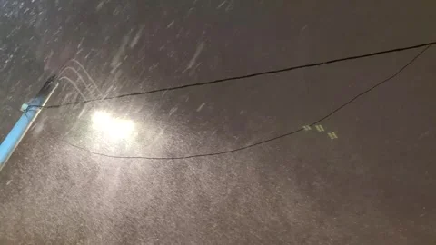 Heavy snow and strong wind during blizzard Stock Footage 297874714