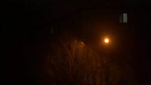 Heavy snow and wind at night Stock Footage 169039688
