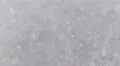 The heavy snow on the background of forest. Real time capture 4k or 4k+ Resolution