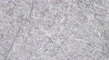 The heavy snow on the background of forest. Real time capture 4k or 4k+ Resolution