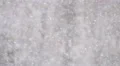 The heavy snow on the background of forest. Real time capture 4k or 4k+ Resolution