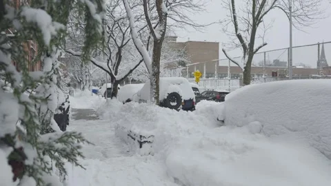 Heavy Snow on Bare Tree Branches, Brooklyn Urban Sidewalk, Blizzard 動画素材 329888724