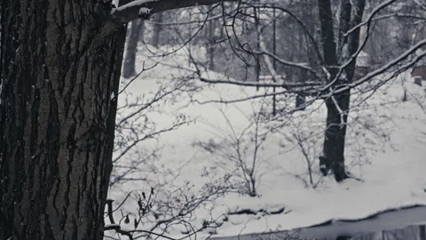 Heavy Snow on Branches With Calm River Scene. Version 2 Stock Footage 300018917