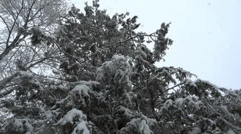Heavy Snow on Camera Vidéo 22010229