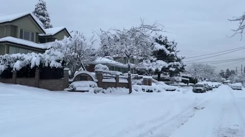 Heavy Snow Day in Christmas 4K Stock Footage 247781353