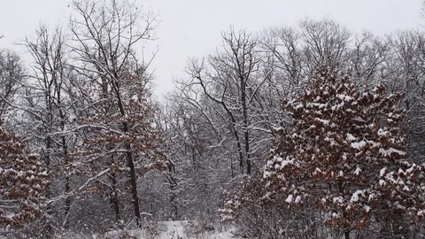 Heavy snow in the dead of winter Stock Footage 108570448