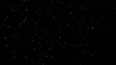 Heavy Snow Fall (includes Matte) 스톡 동영상 295375