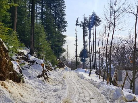 Heavy snow fall in Kashmir made whole valley white. Stock Photos