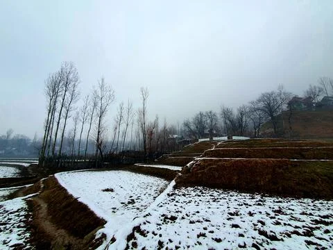 Heavy snow fall in Kashmir made whole valley white. Stock Photos