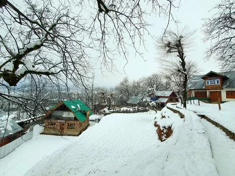 Heavy snow fall in Kashmir made whole valley white. Stock Photos