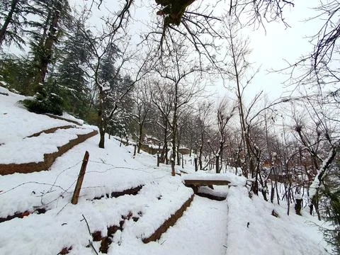Heavy snow fall in Kashmir made whole valley white. Stock Photos