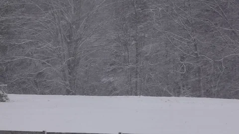 Heavy Snow Fall Landscape Stock Footage 71151275