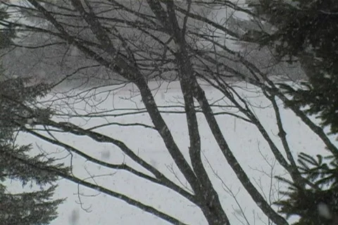 Heavy snow fall up north Video stock 65665