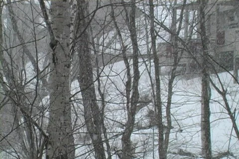 Heavy snow fall up north Video stock 65669