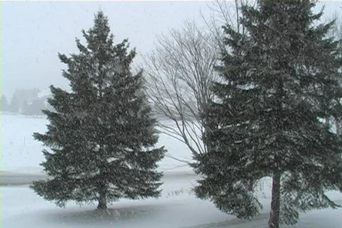 Heavy snow fall up north Video stock 65673