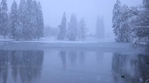 Heavy Snow Fall Over a Winter Lake Stock Footage 235850344