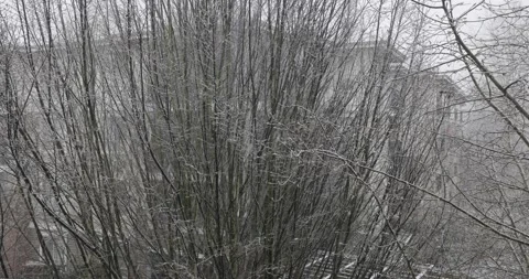 Heavy snow fall panning left to right Stock Footage 145699650