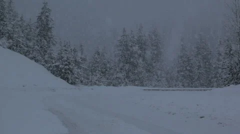 Heavy snow fall in winter Video stock 1085049