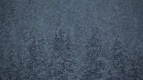 Heavy snow falling against forest Stock Footage 1085128