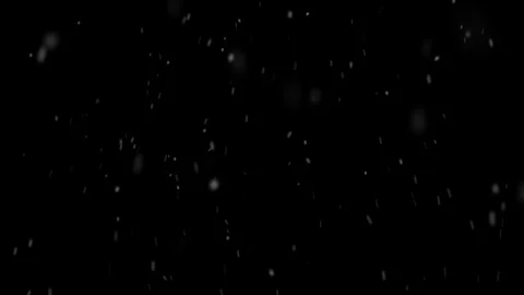 Heavy snow falling with alpha channel looped Stock Footage 119117203