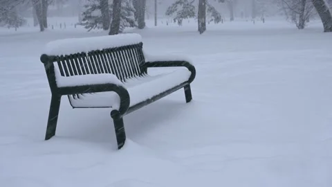 Heavy snow falling and blowing onto a metal bench in a park with trees Stock Footage 228686977